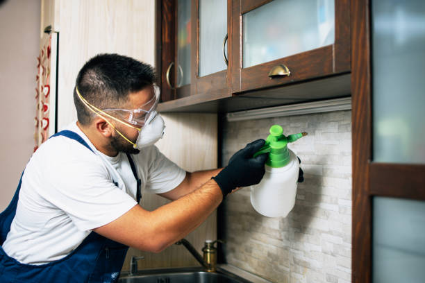 Trusted Heath, OH Pest Control Experts