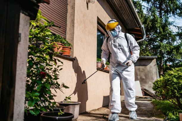 Best Bed Bug Extermination  in Heath, OH