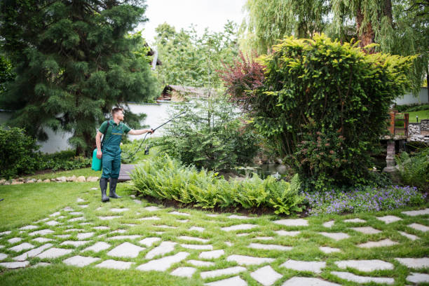 Pest Prevention Services in Heath, OH