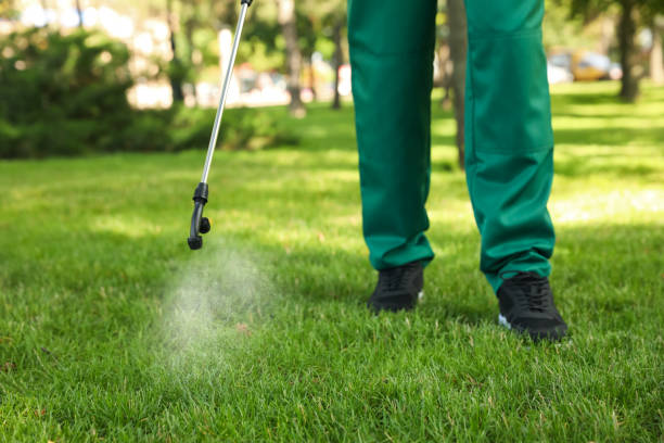 Flea Control Services in Heath, OH