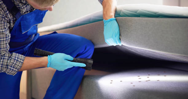Best Flea Control Services  in Heath, OH