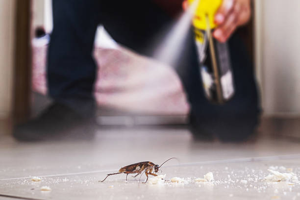Best Cockroach Control Services  in Heath, OH