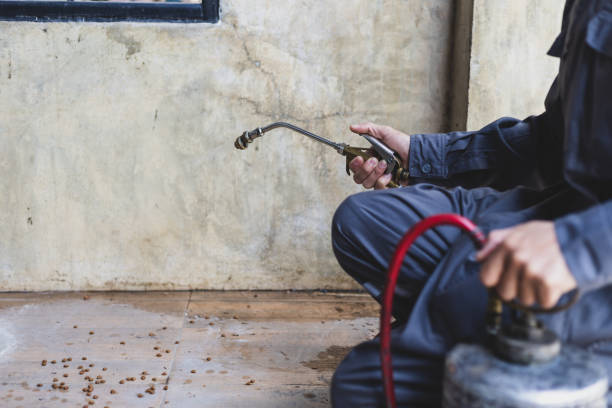 Best Local Pest Control Services  in Heath, OH