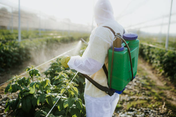Best Pest Removal Services  in Heath, OH